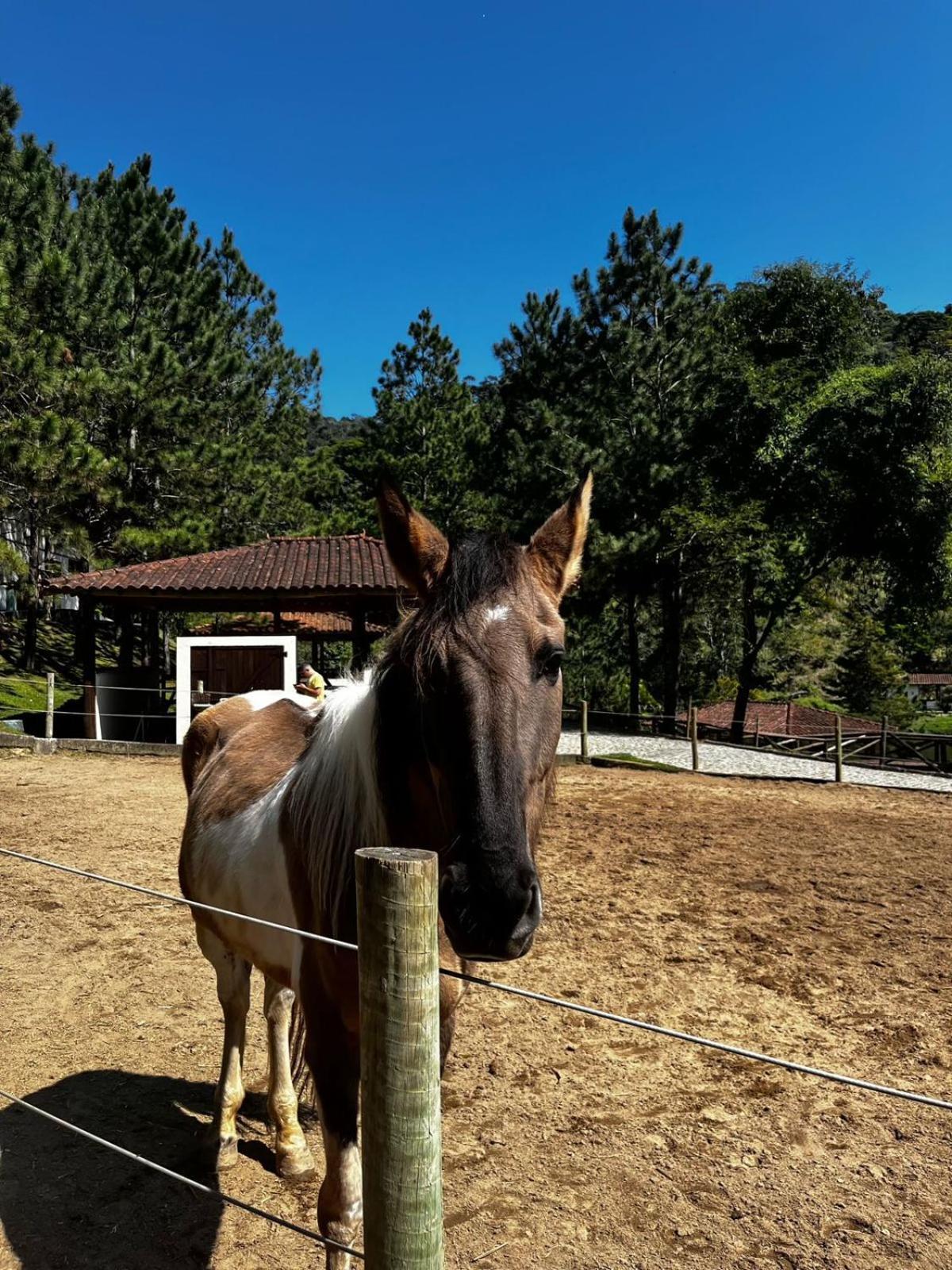 Fazenda Suica Le Canton Teresópolis Kültér fotó